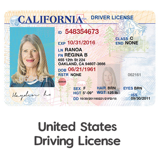 BUY USA DRIVERS LICENSE ONLINE
