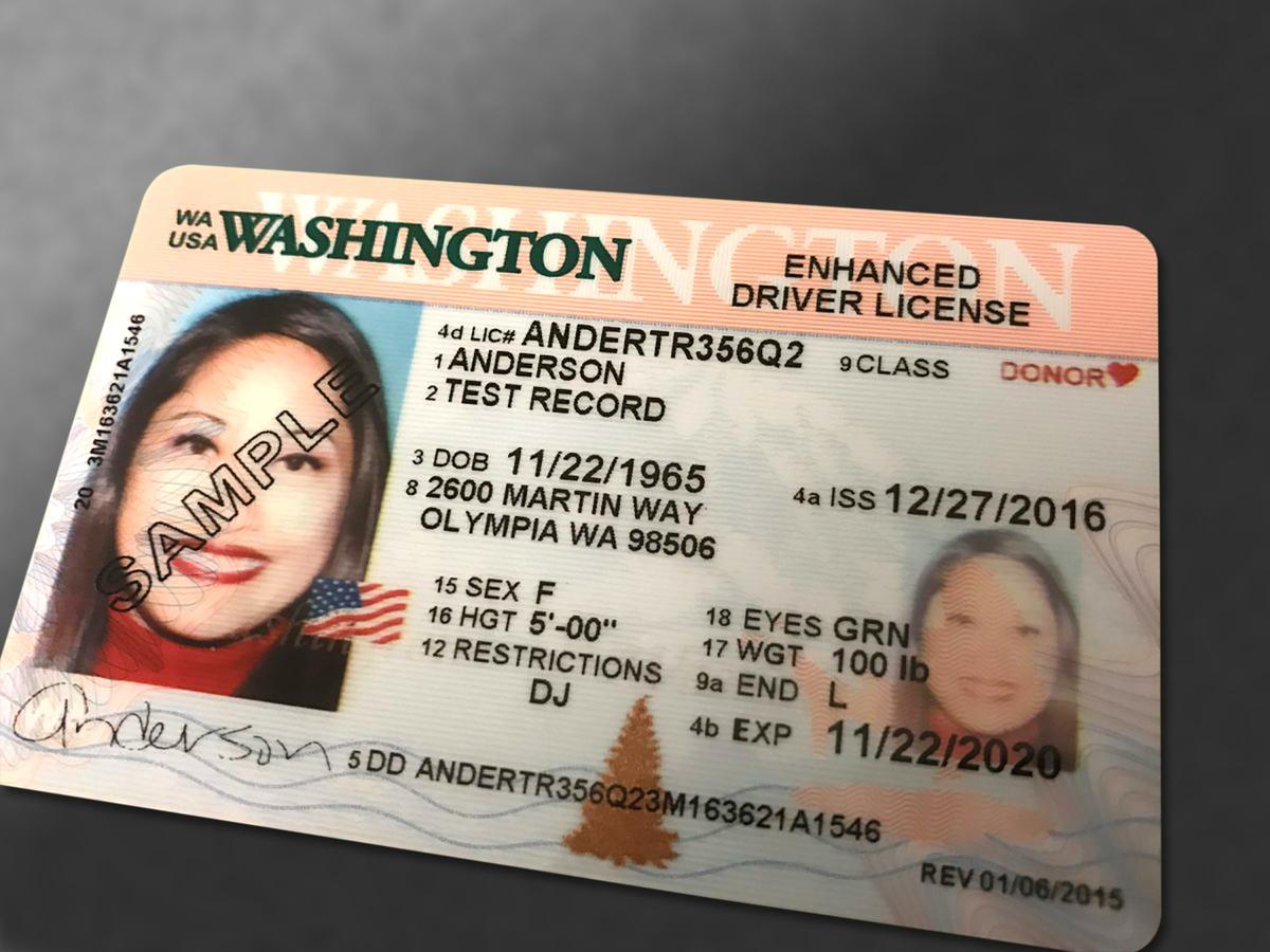 Buy driver’s License without driving test
